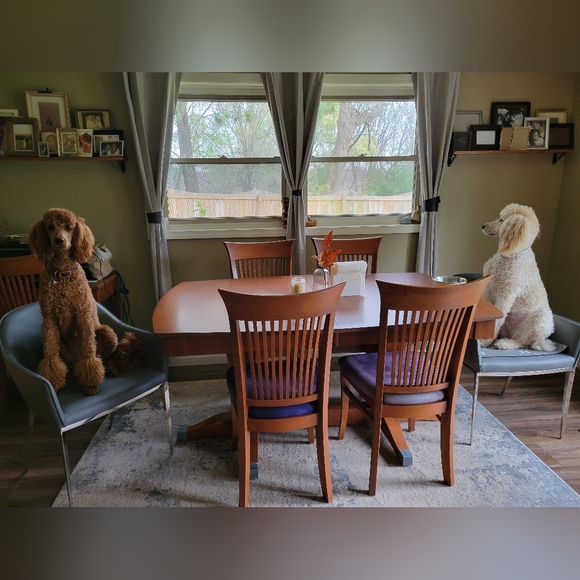 🌼Meet Posh Ambassador Ari🌼 - Picture 14 of 16